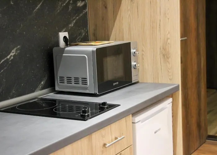 아파트 Sorak Kopaonik, A10 카파오닉